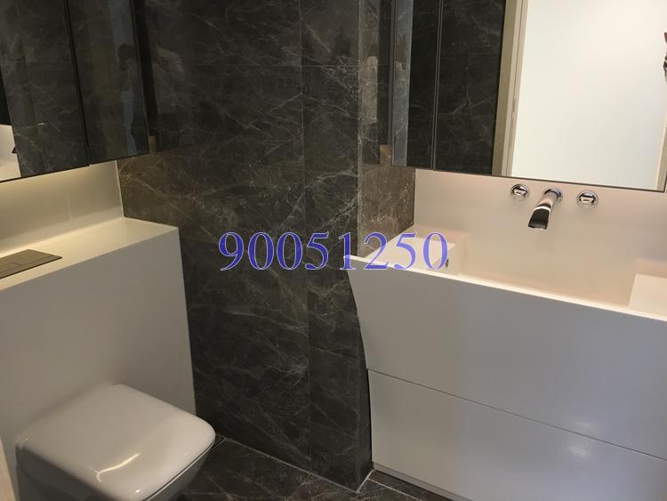 Cairnhill Nine (D9), Apartment #134727452